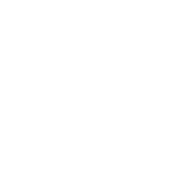 AMP Version